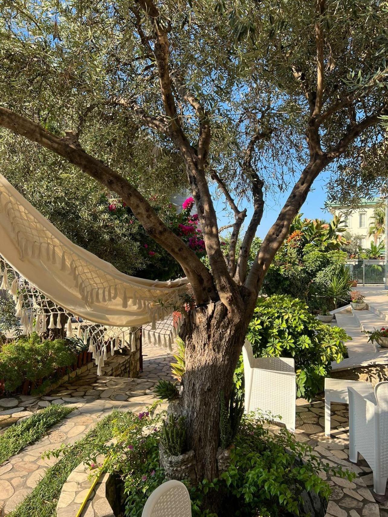 Hotel Orange Dhërmi Eksteriør bilde